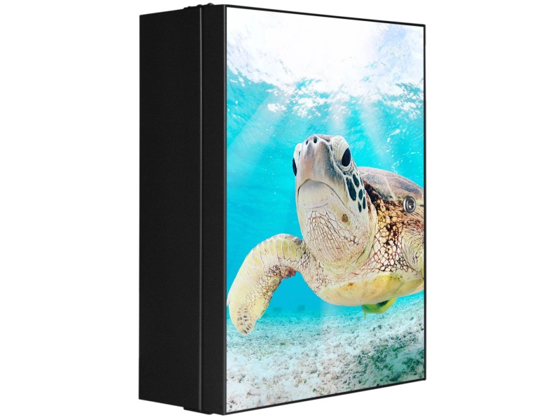 Banjado XXL Medizinschrank Abschliessbar 35x46x15cm Arzneischrank Anthrazit Aus Metall Front Mit Motiv Elvis